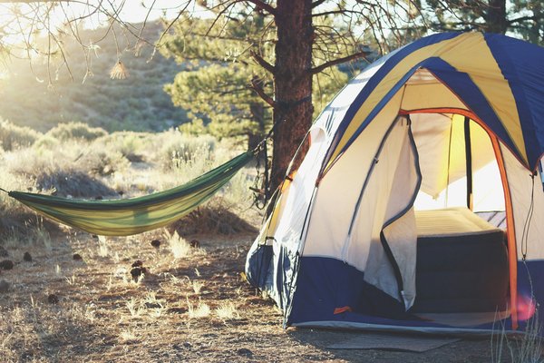 Quelles sont les techniques pour purifier l'eau en camping en région de savane africaine?